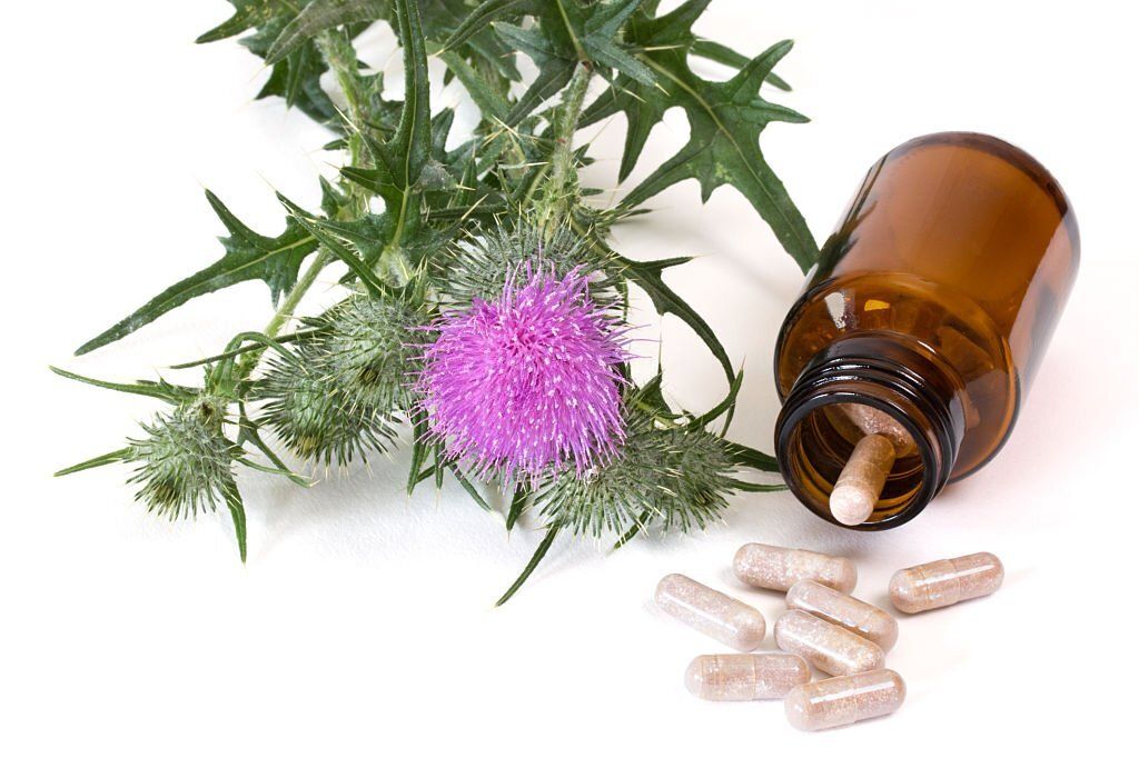 7 Best Milk Thistle Supplement Reviews & Buyer's Guide